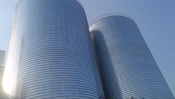 建昌2座混凝土高架卷板仓